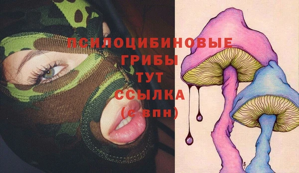 дживик Наволоки