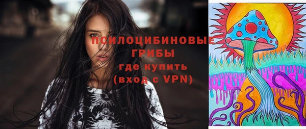 дживик Наволоки