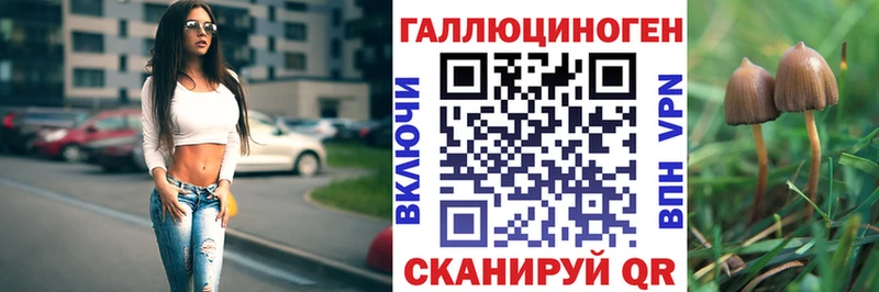 ссылка на мегу ССЫЛКА  Чегем  Галлюциногенные грибы Psilocybine cubensis  купить  сайты 